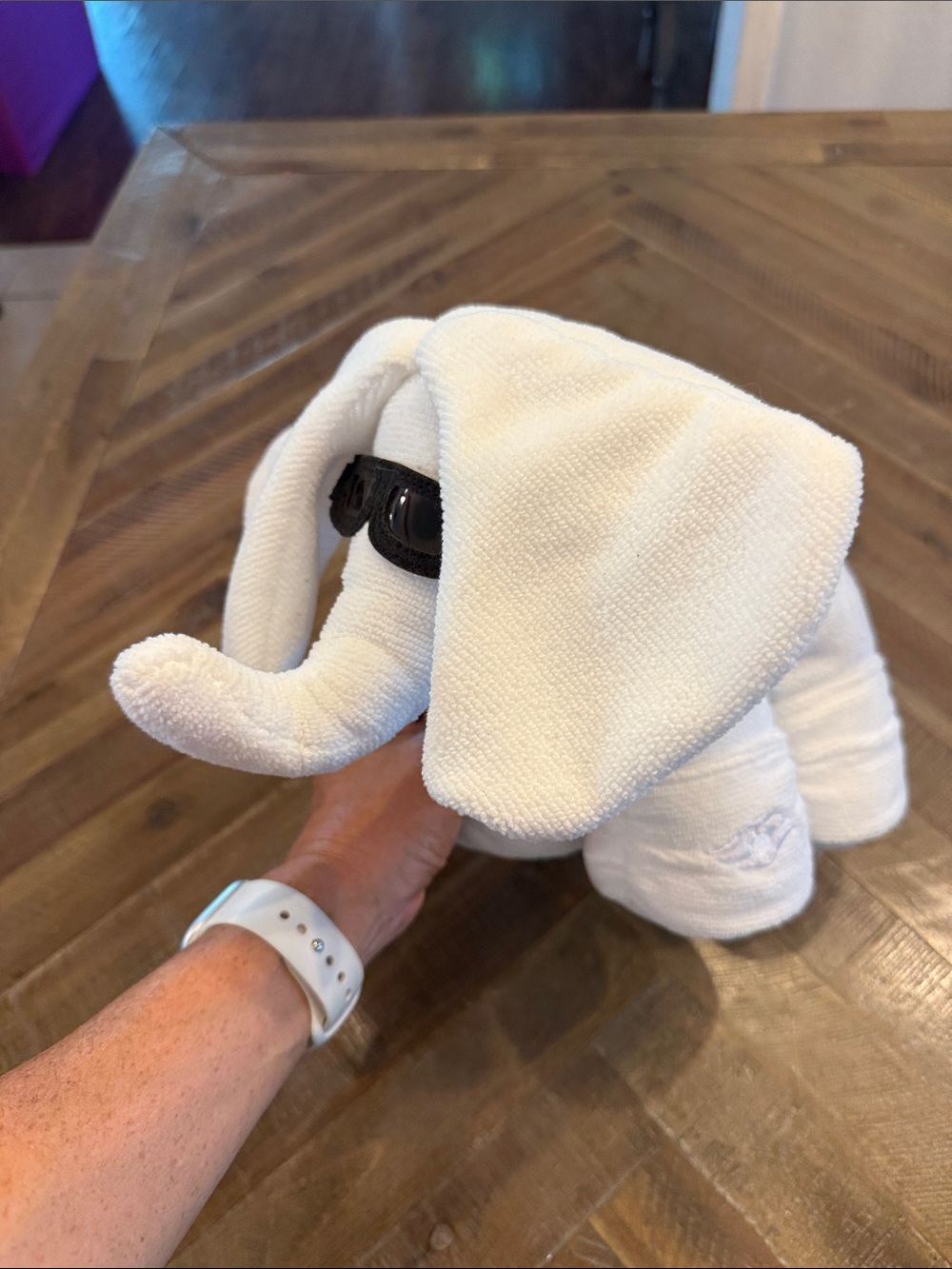 Disney cruise line towel animal